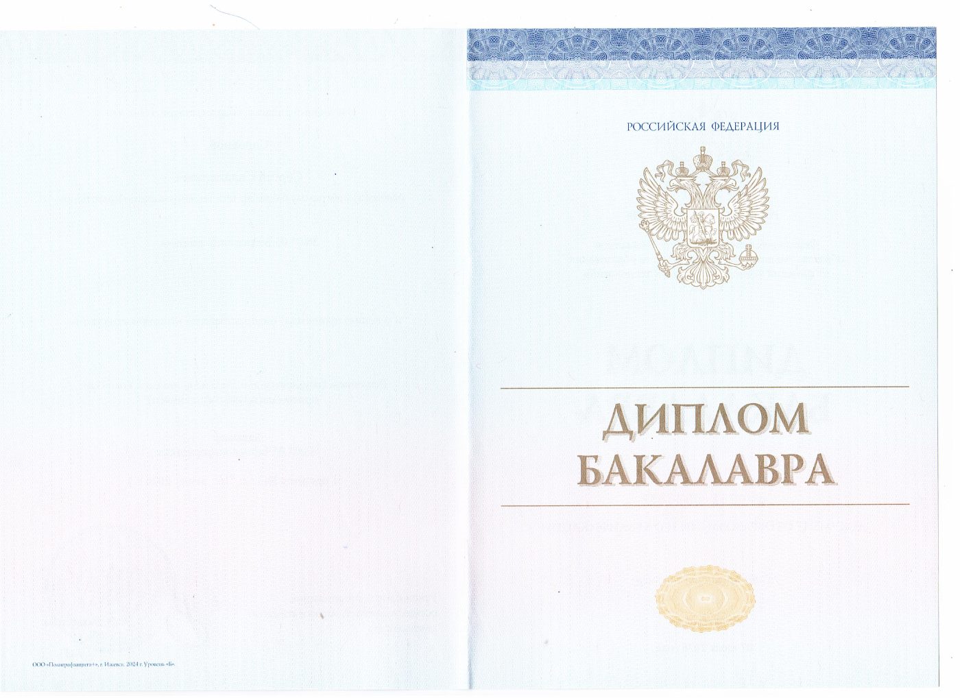Превью диплома бакалавра